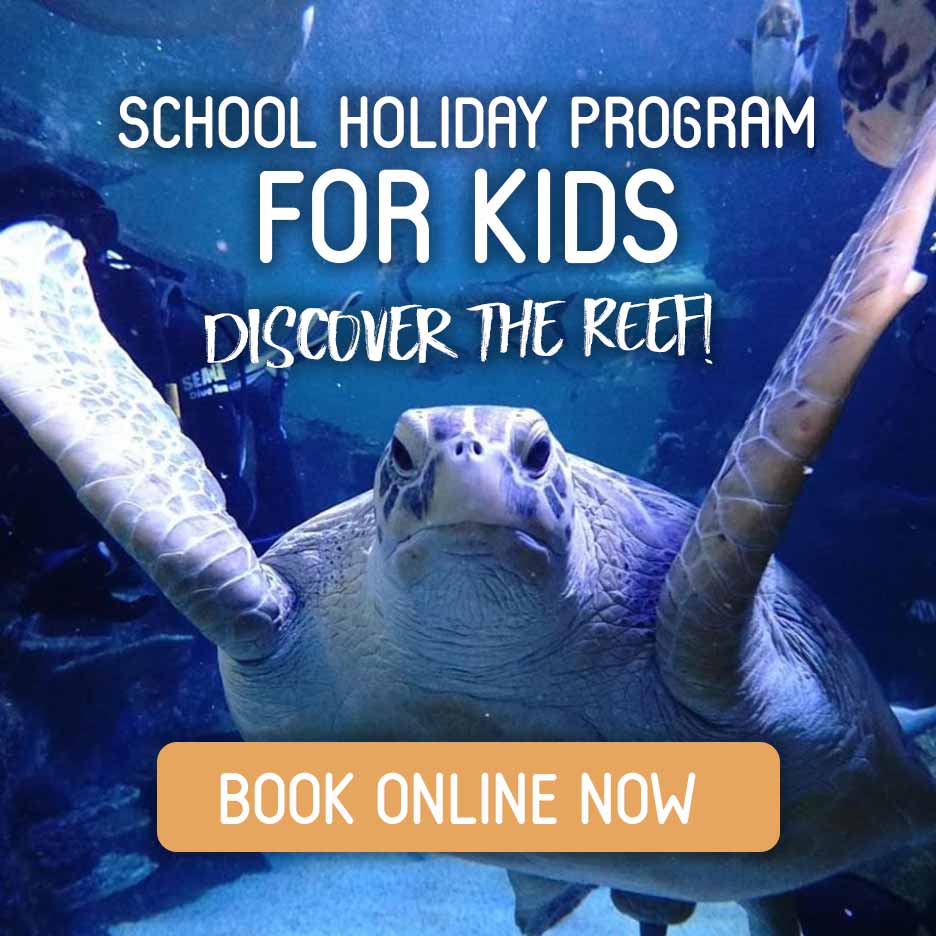 Discover The Reef School Holiday Program in Bargara