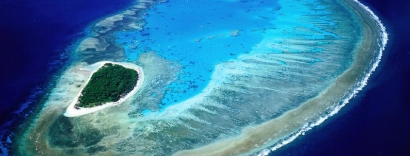 Discover Lady Musgrave Island - Reef Connect