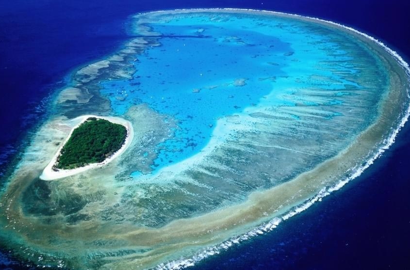 Discover Lady Musgrave Island - Reef Connect